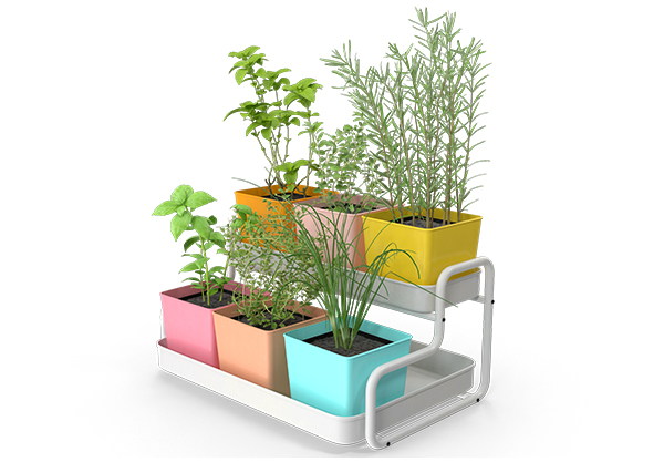 modelo horta vertical orgânica